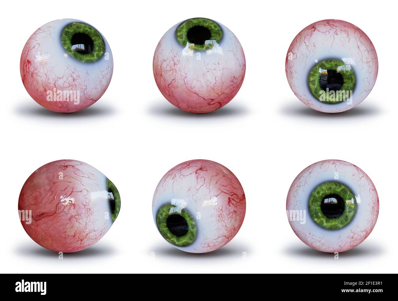 collection of human eyeballs with green iris isolated with shadow on white ground Stock Photo