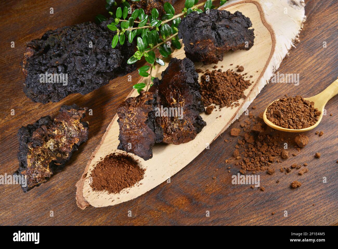 Shamanic tree hi-res stock photography and images - Alamy