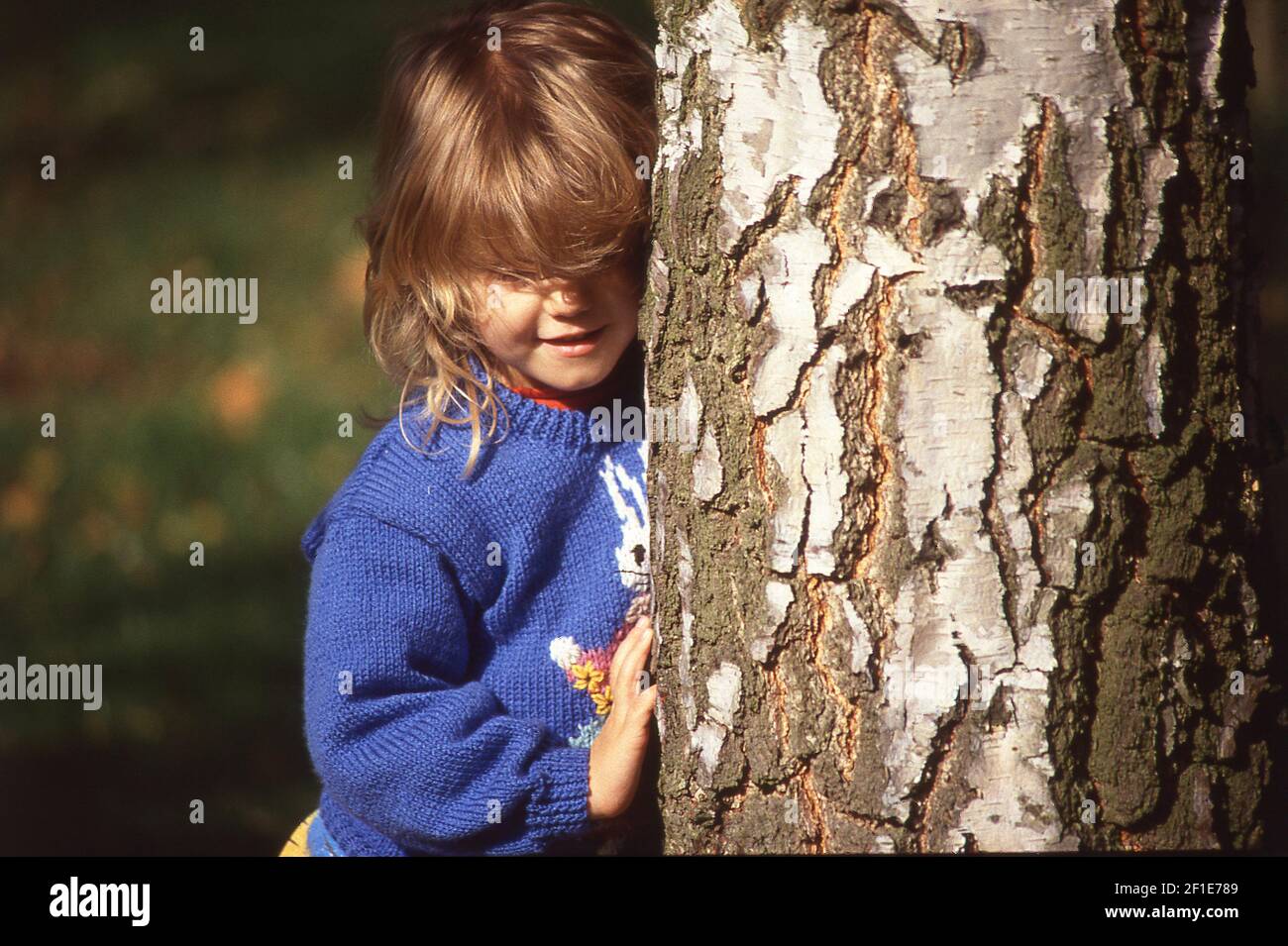 Young girl peering around tree, Winkfield, Berkshire, England, United Kingdom Stock Photo