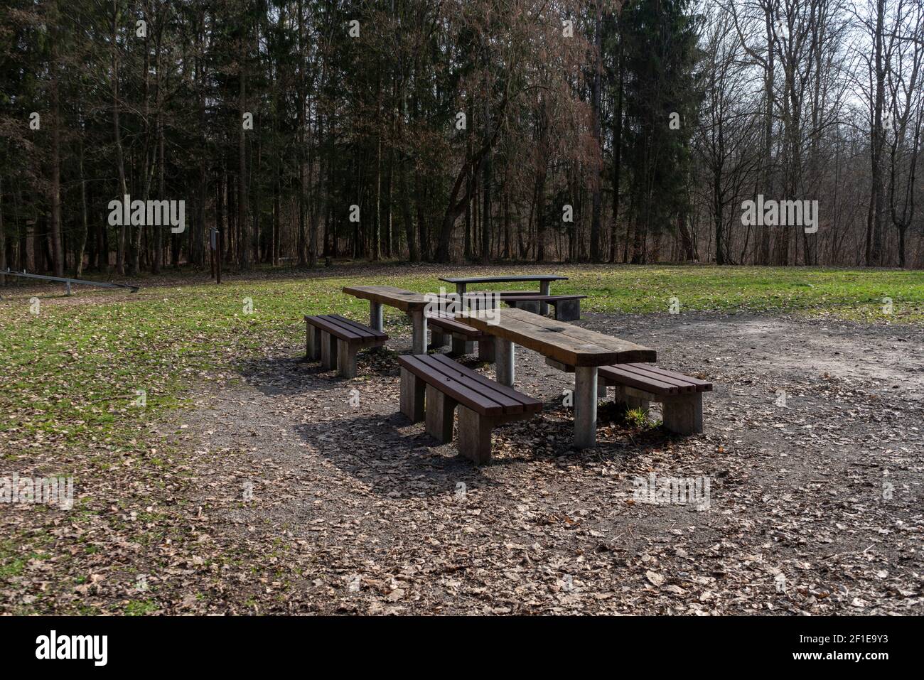 Seating group with benches and a table in a clearing in the forest Stock Photo