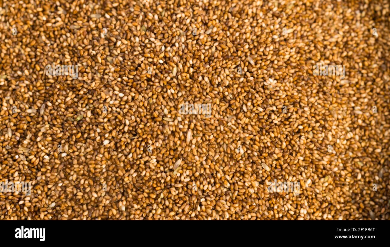 Farrow Grains Wheat Whole Food Stock Photo Alamy