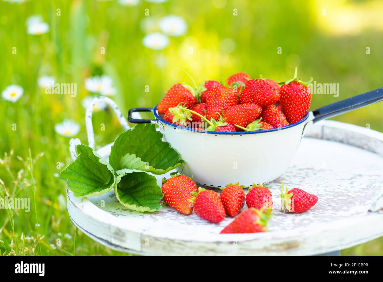 Fresh strawberries Stock Photo