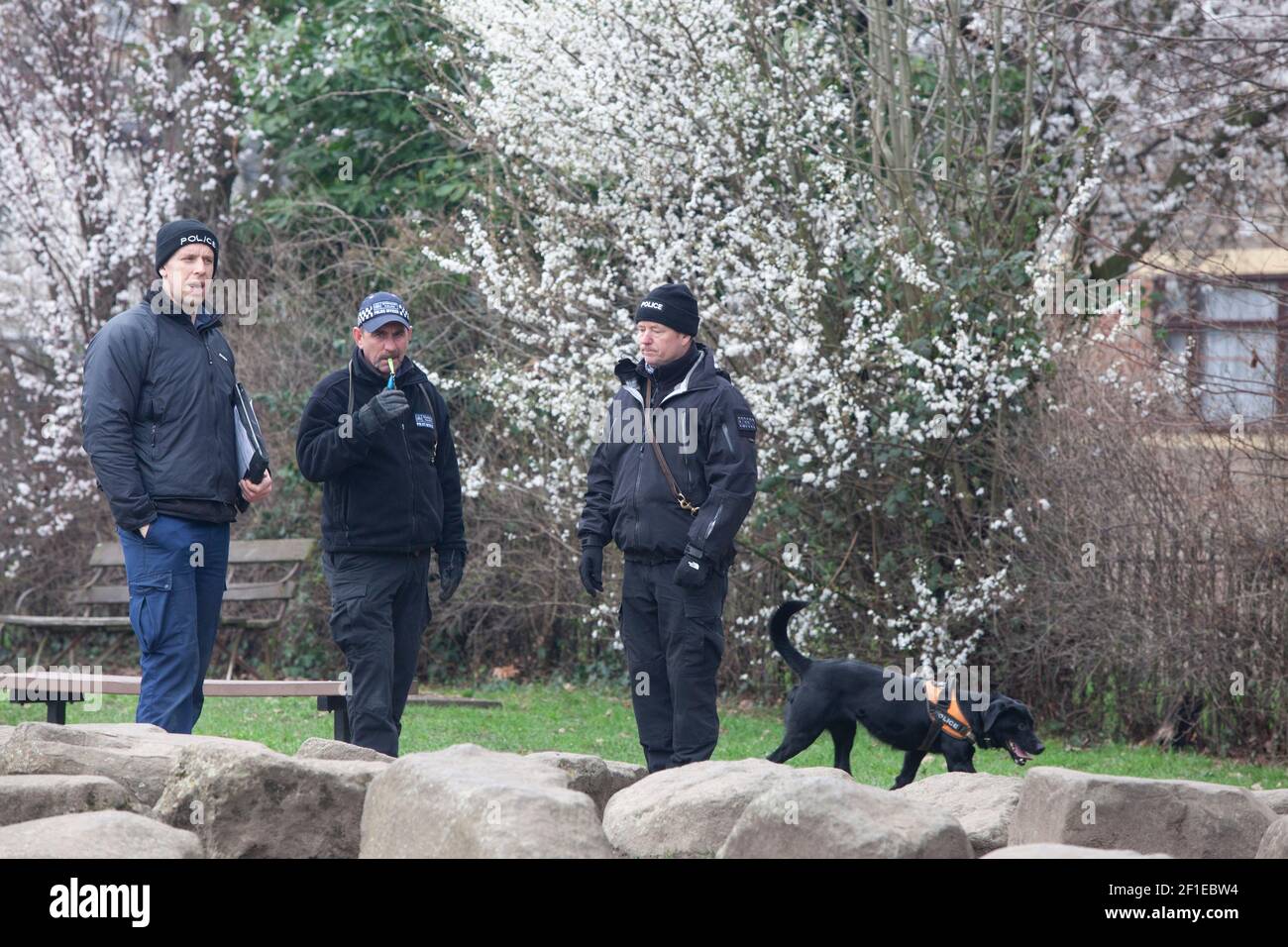 London, UK, 8 March 2021: Police sniffer dogs search for evidence relating to the disappearance of Sarah Everard, last seen on Poynders Road, Clapham, part of the A205  South Circular. Agnes Riley Gardens is on Poynders Road and was also searched by police sniffer dogs. Anna Watson/Alamy Live News Stock Photo