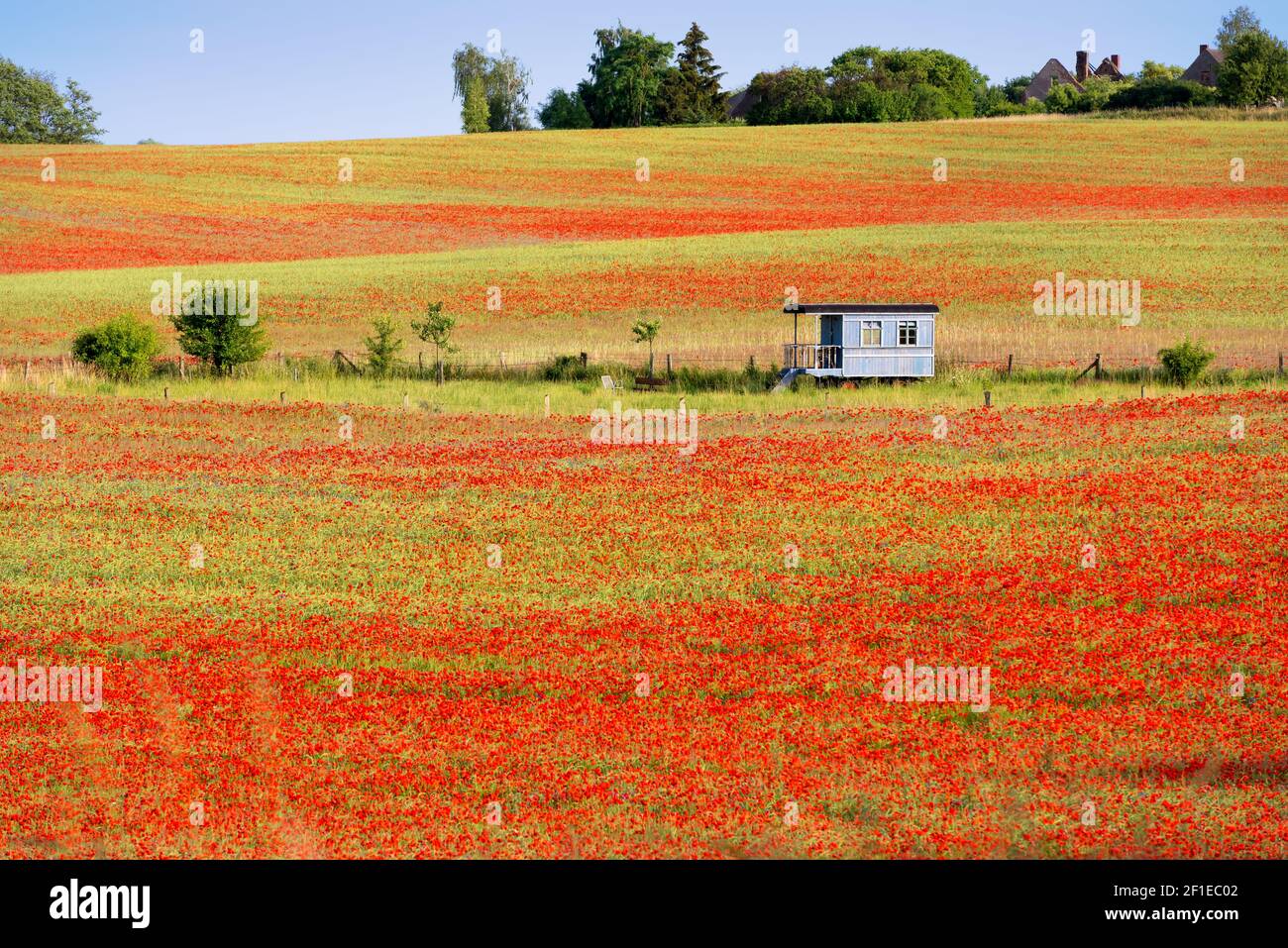 Landscape in early summer Stock Photo