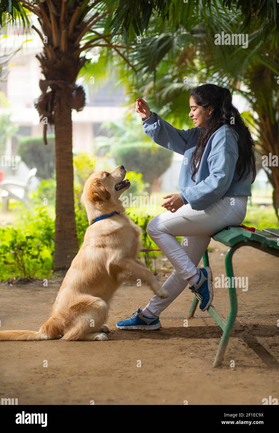 Indian girl dog hi-res stock photography and images - Alamy