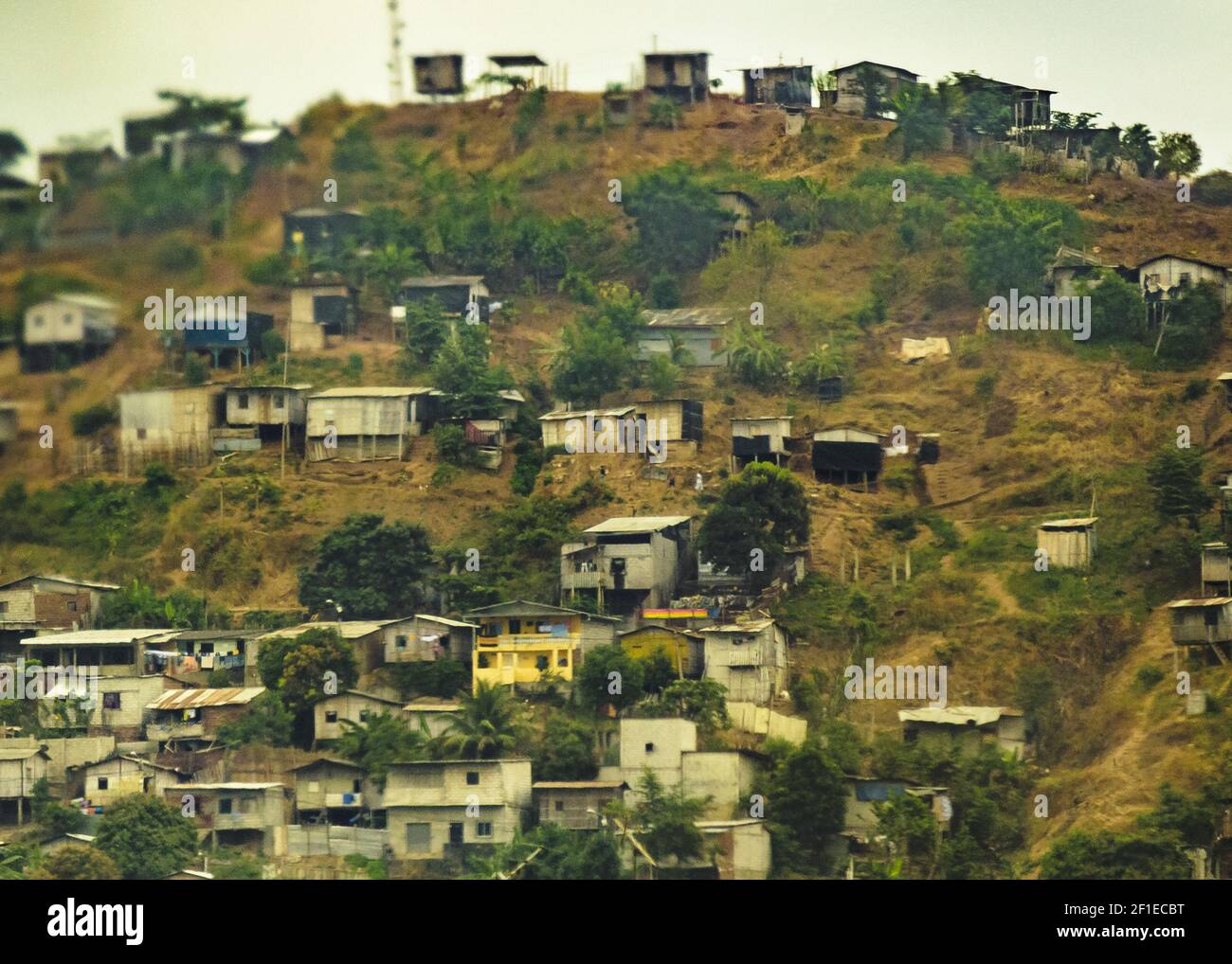 Cane Houses at Hill, Guayaquil, Ecuador Stock Photo Alamy