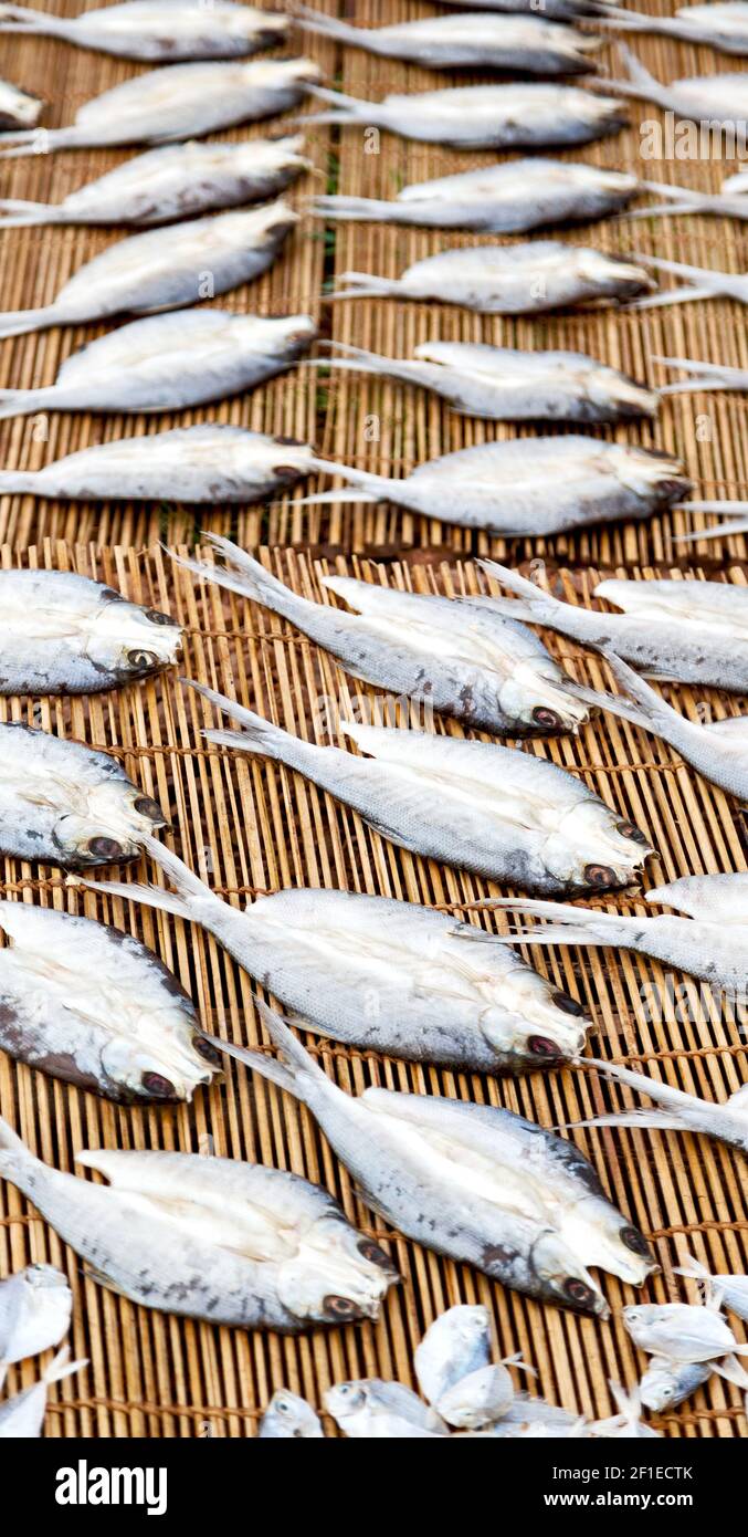 Page 6 Fresh Fish Market Philippines High Resolution Stock Photography And Images Alamy