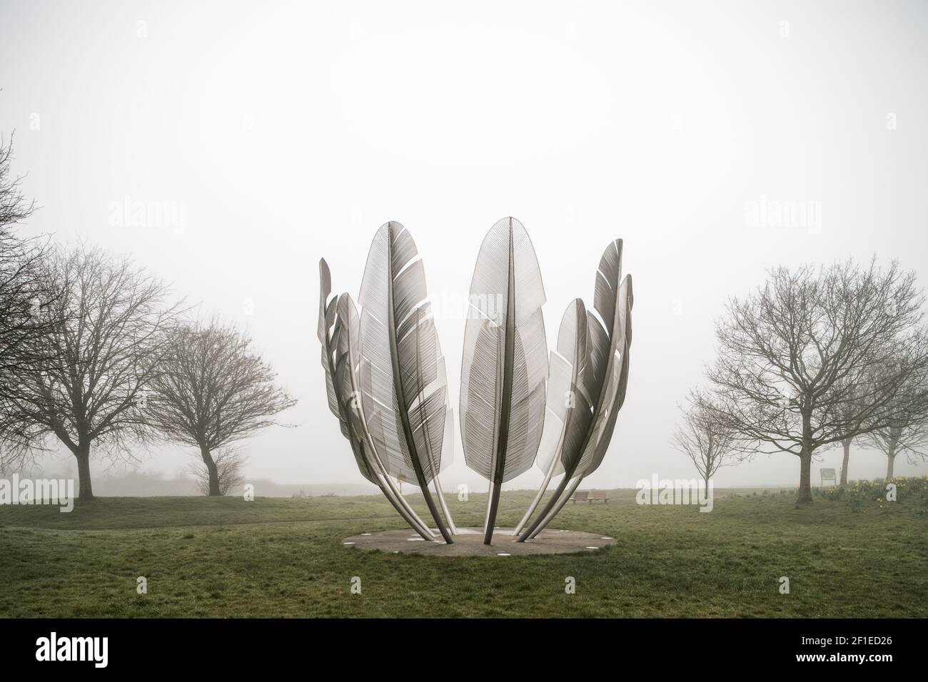 Midleton, Cork, Ireland. 08th March, 2021. Early morning fog shrouds