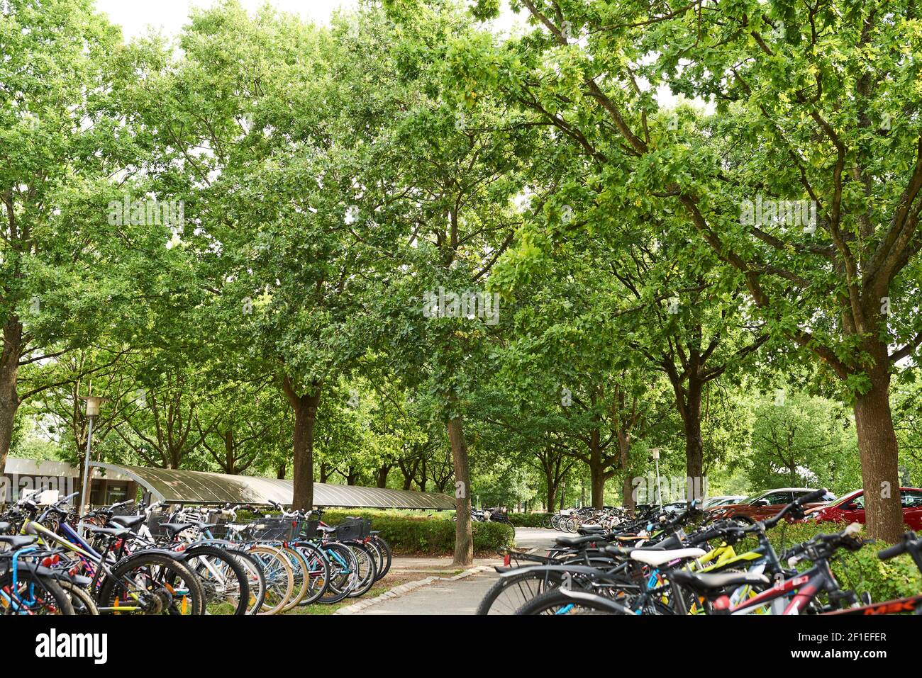 Parked bicycle parking space at a school Stock Photo Alamy