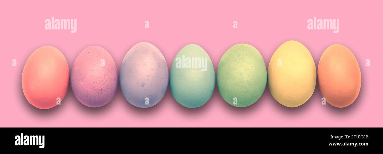 Pastel painted Easter eggs aligned in a row on pink panoramic background, Easter web banner Stock Photo