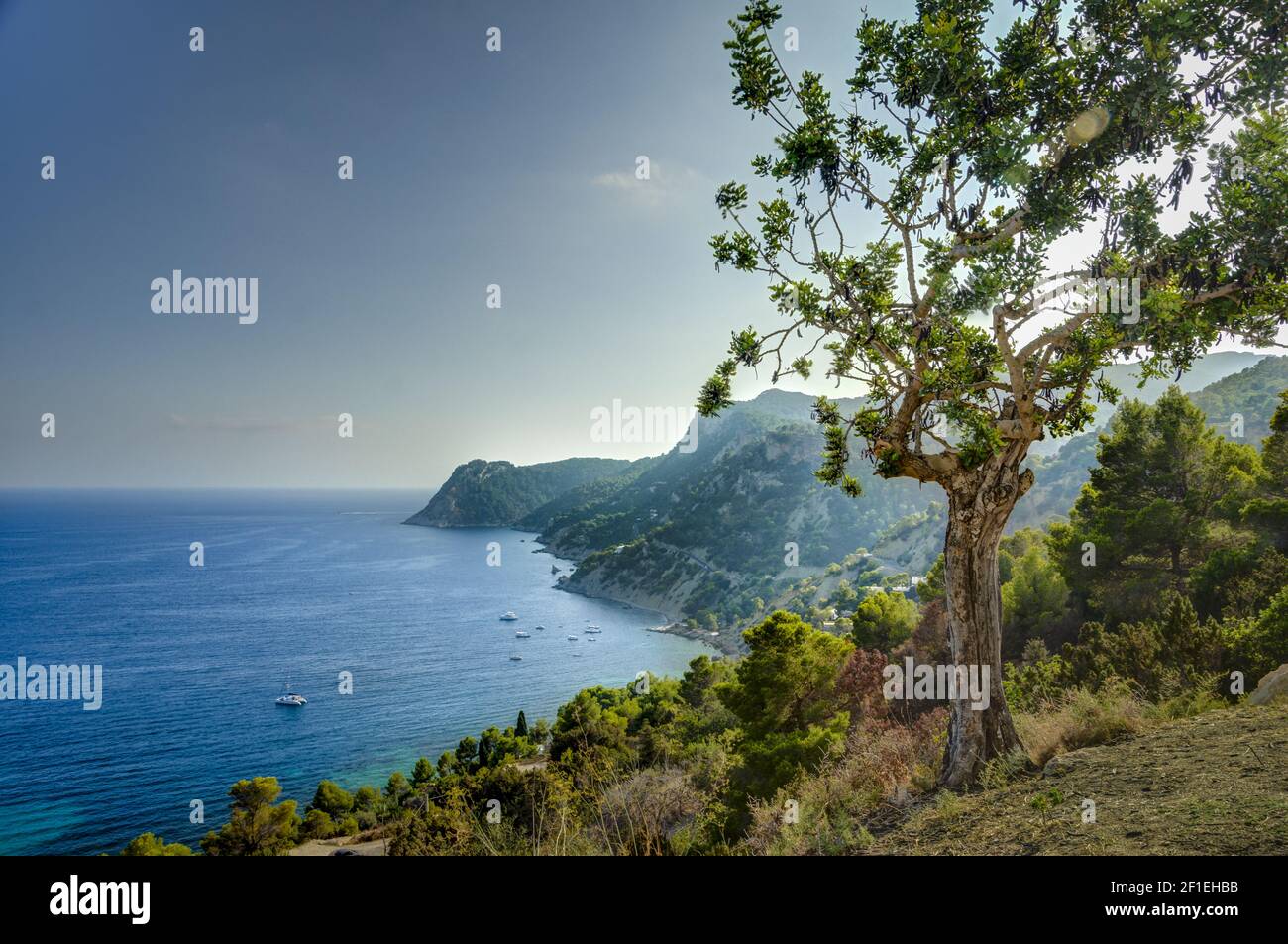 Mediterraneansea in Ibiza, Balearic islands. Stock Photo