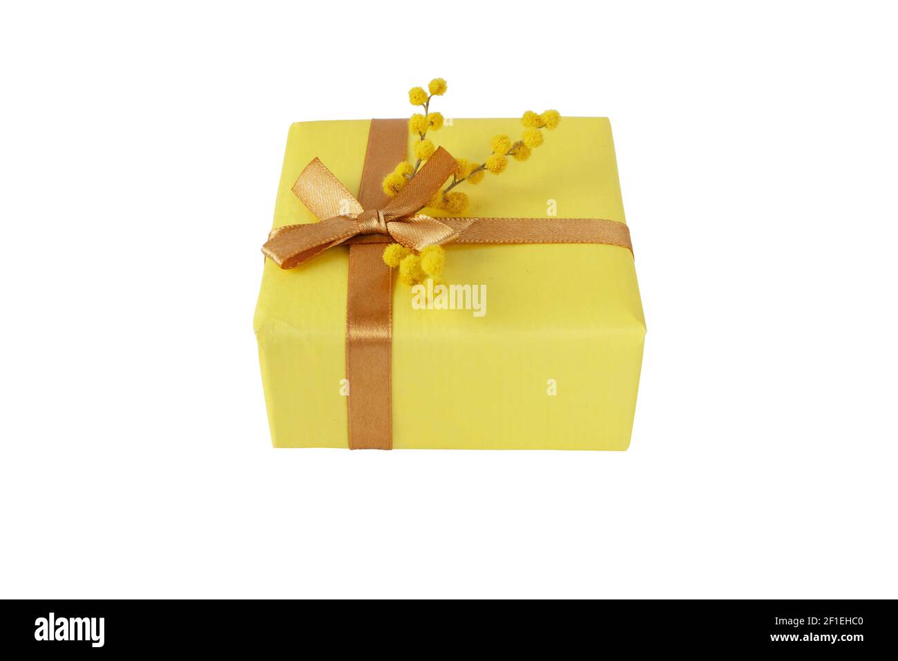 Gift box wrapped with yellow paper and golden ribbon bow and mimosa fluffy flowers isolated on white. Spring holidays surprise. Stock Photo