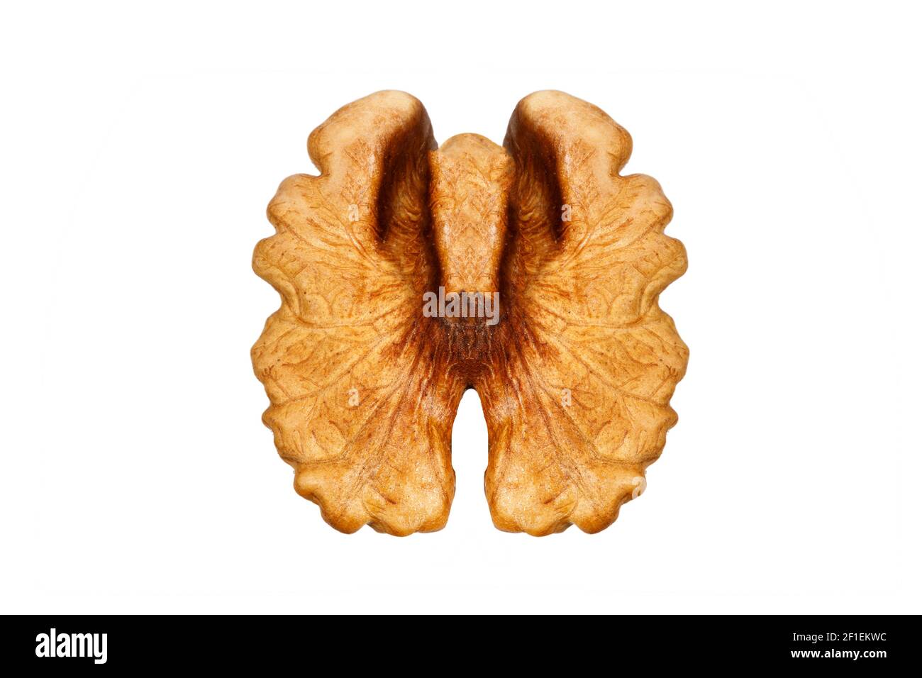 Walnut In Half half peeled walnut isolated on white background. High quality photo ...