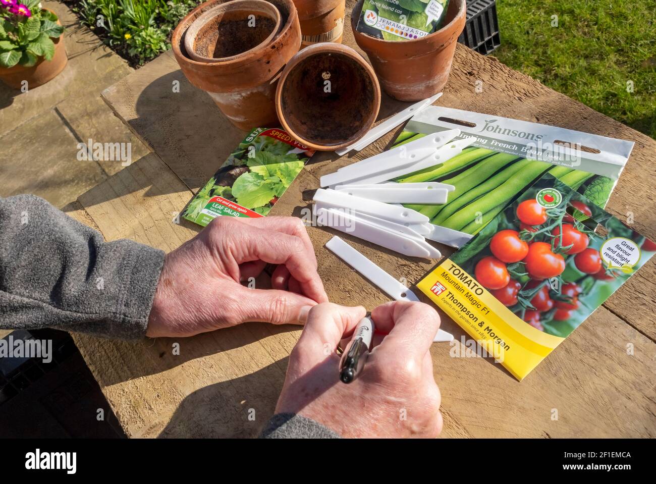 Close up of man person gardener writing plant label and packets of vegetable seed seeds on a table England UK United Kingdom GB Great Britain Stock Photo