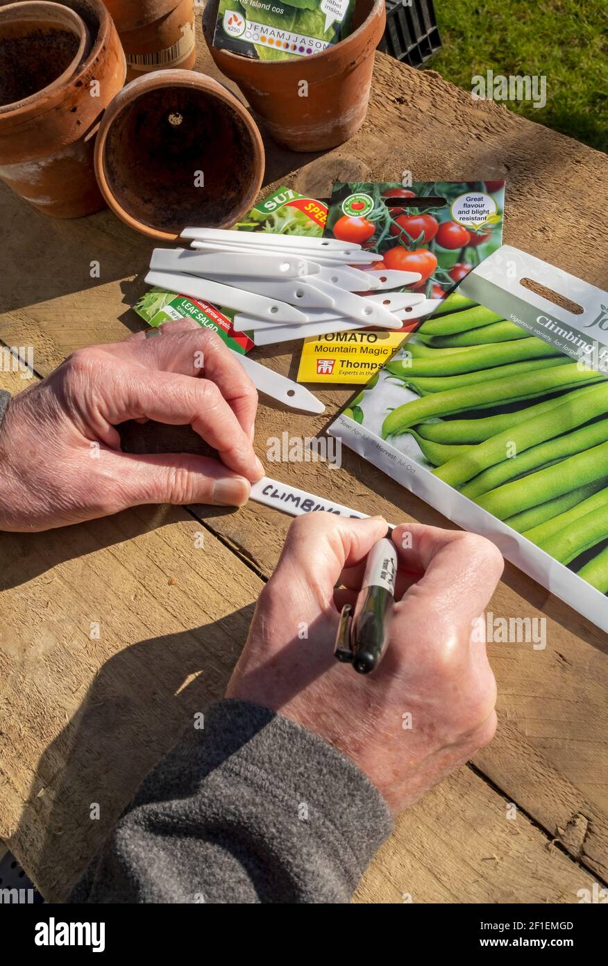 Close up of man gardener person writing plant label and packets of vegetable seed seeds on a table England UK United Kingdom GB Great Britain Stock Photo