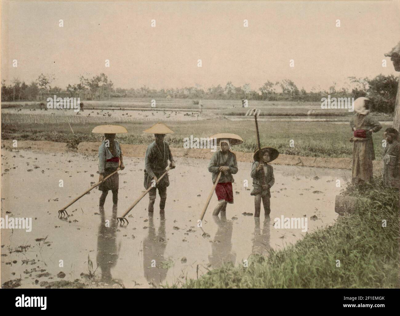 Ogawa Kazumasa photograph entitled Farmers in the Rice Swamp. Stock Photo
