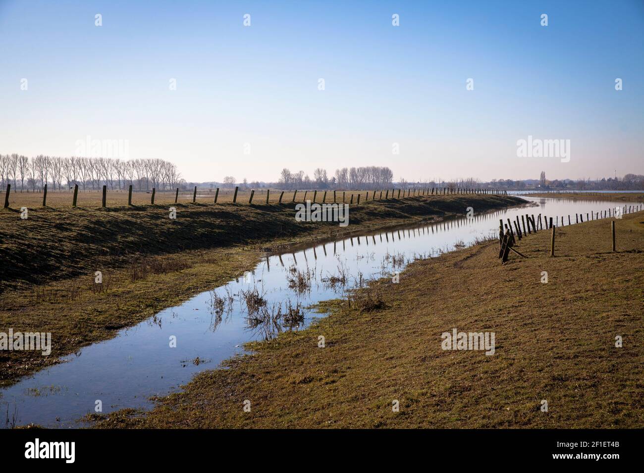 flooded meadows in the nature reserve Bislicher Insel on the Lower Rhine near Xanten, floodplain landscape, old branch of the Rhine, North Rhine-Westp Stock Photo