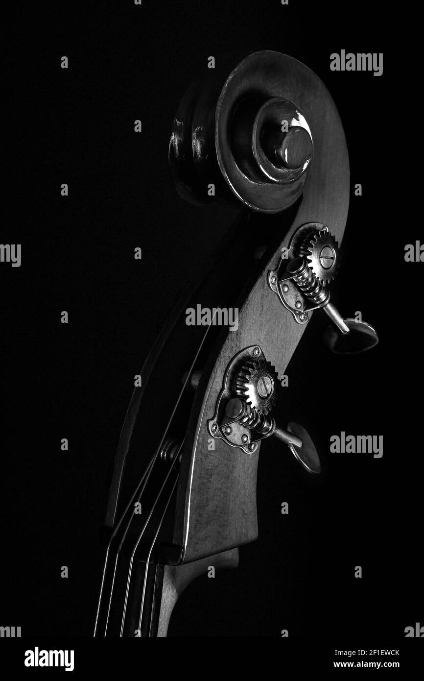 Close up on an upright bass headstock in black and white on a dark background Stock Photo