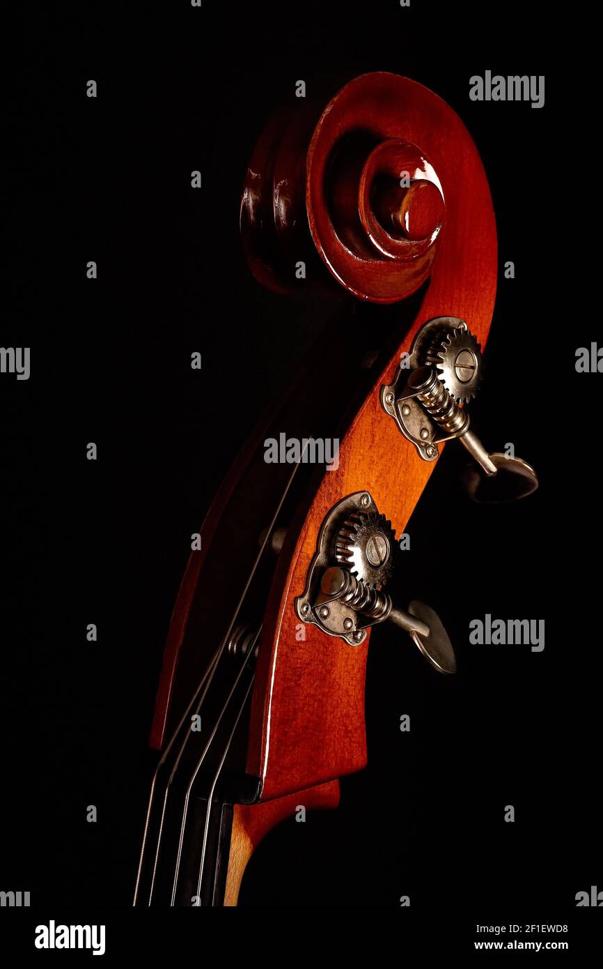 Upright bass hires stock photography and images Alamy