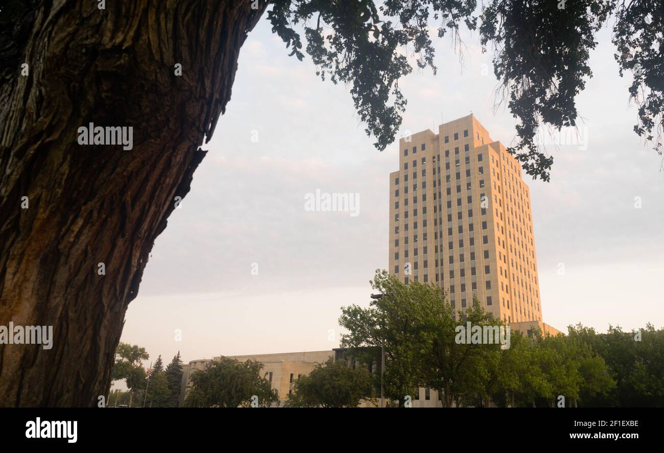 Large Oak Tree Stands North Dakota Capital Building Bismarck Stock Photo