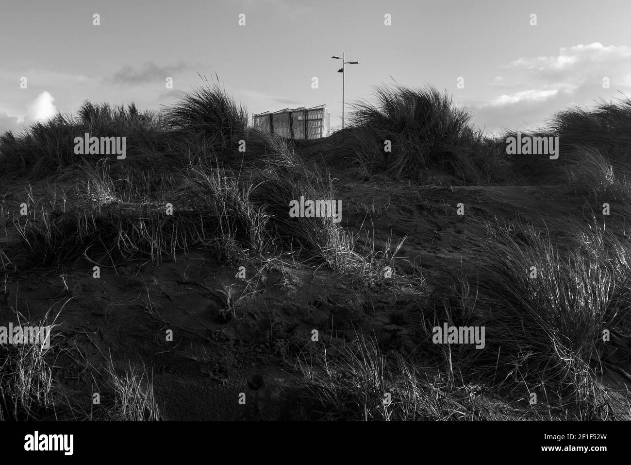 Vegetation view Black and White Stock Photos & Images - Alamy