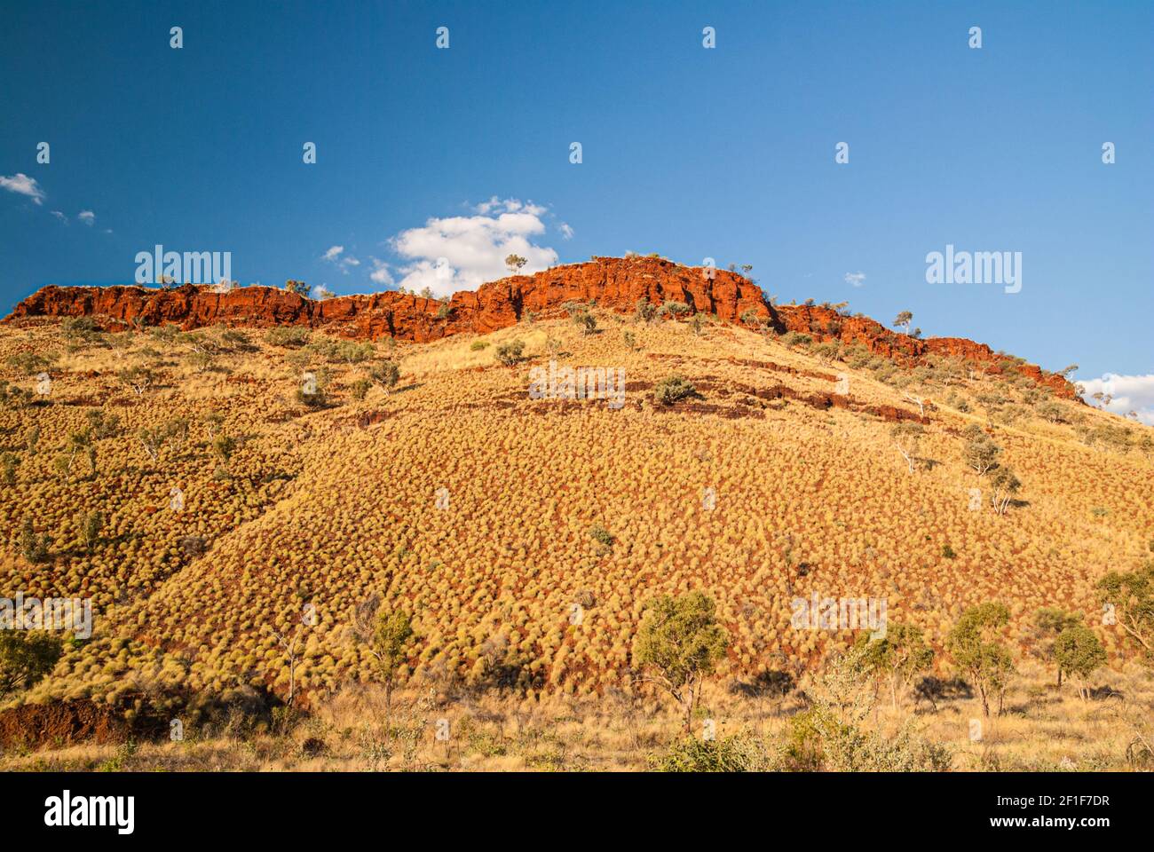 MUNJINA EAST GORGE, KARIJINI NATIONAL PARK, WESTERN AUSTRALIA, AUSTRALIA Stock Photo