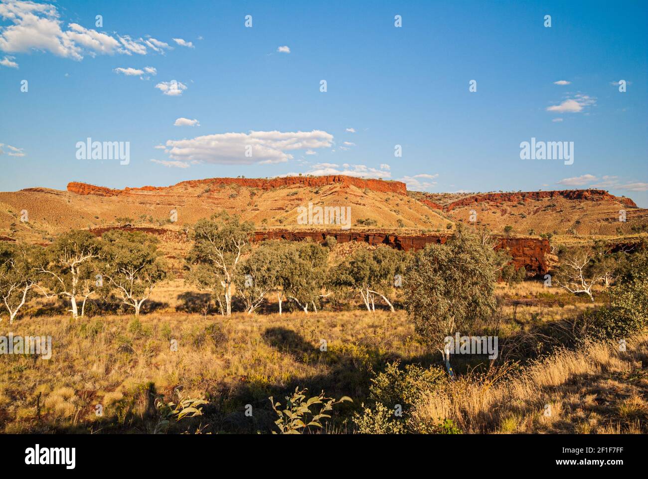 MUNJINA EAST GORGE, KARIJINI NATIONAL PARK, WESTERN AUSTRALIA, AUSTRALIA Stock Photo