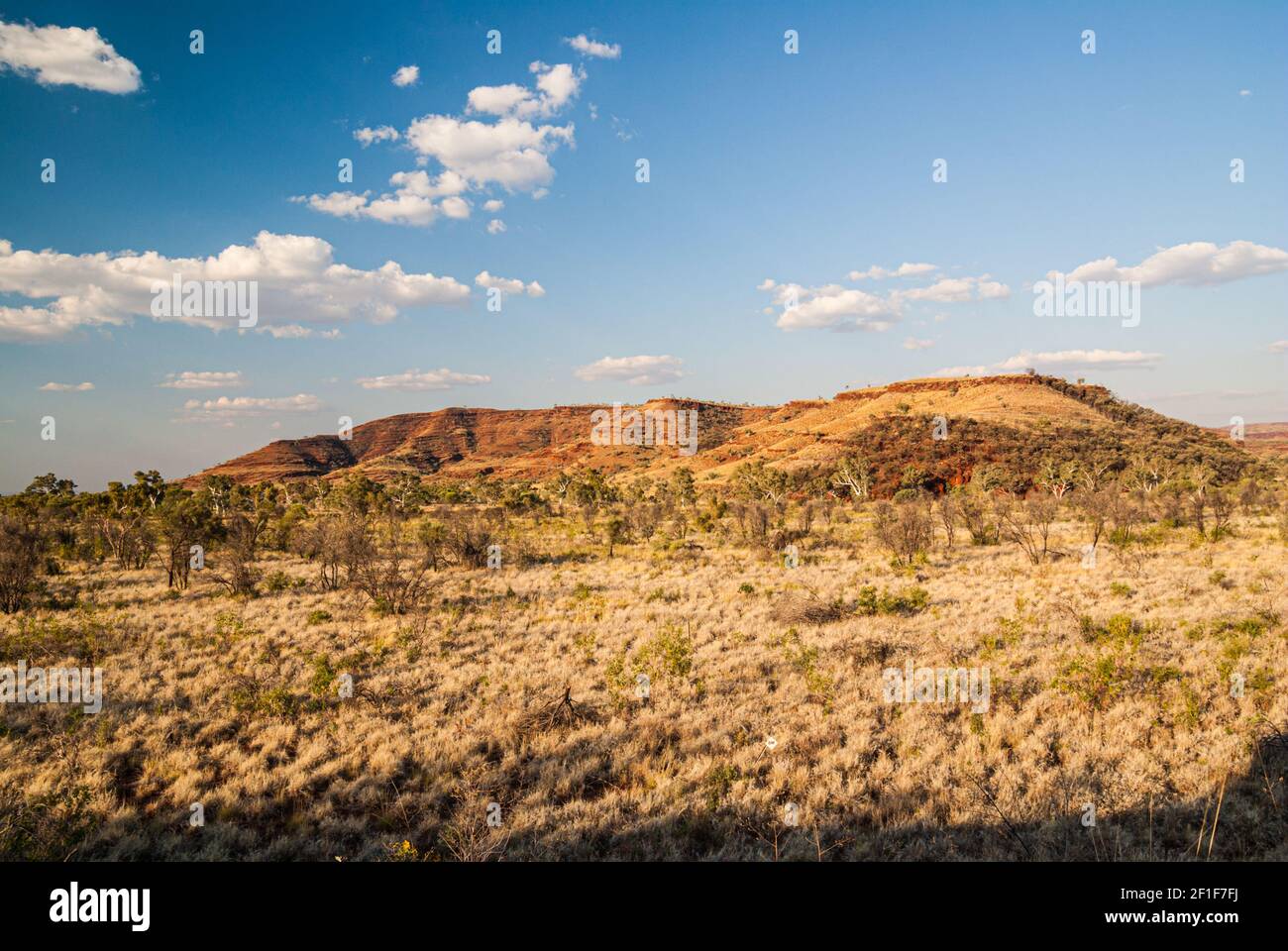 MUNJINA EAST GORGE, KARIJINI NATIONAL PARK, WESTERN AUSTRALIA, AUSTRALIA Stock Photo