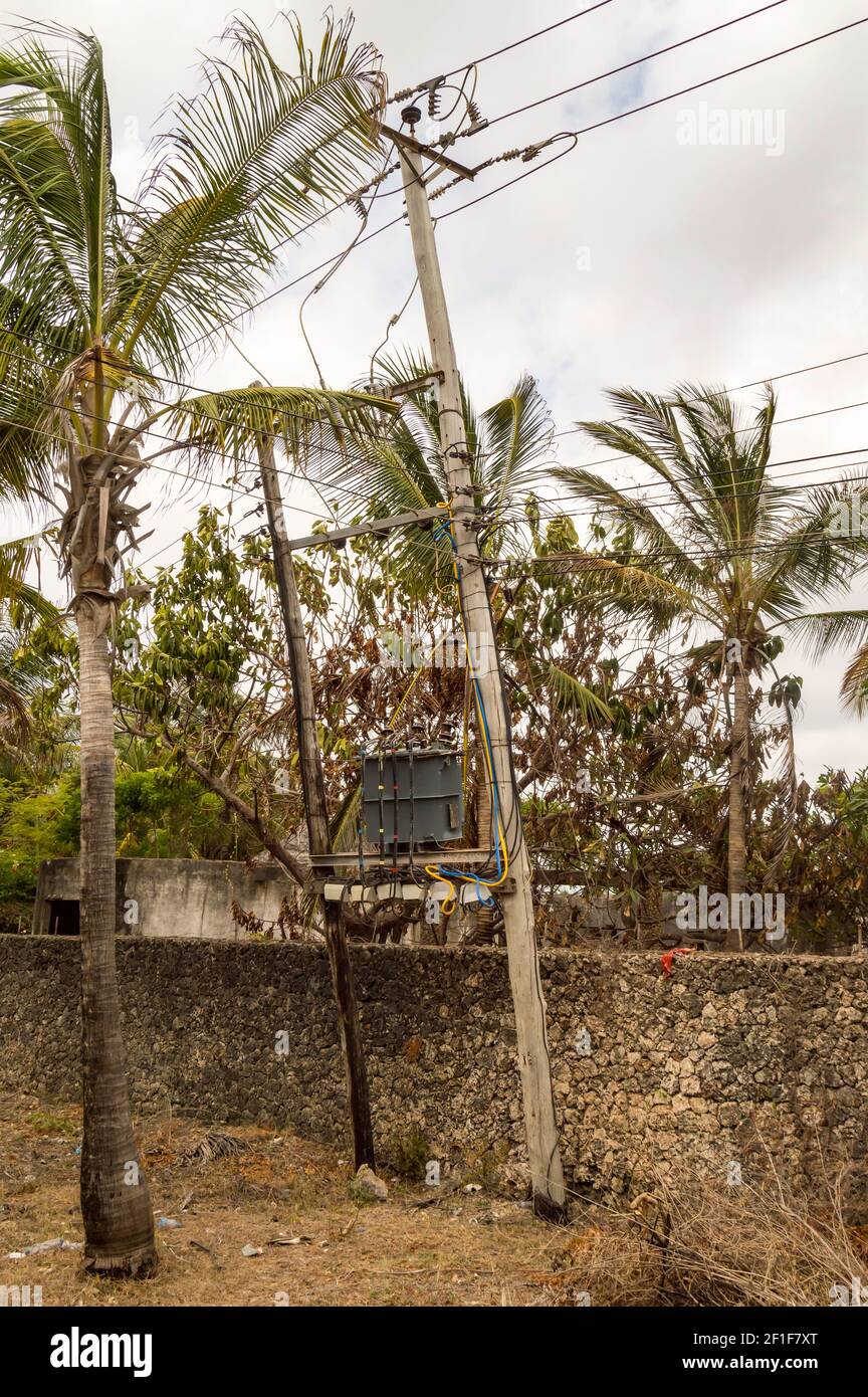 Electricity pylon and palm trees in a village near the town of Gede in Kenya Stock Photo