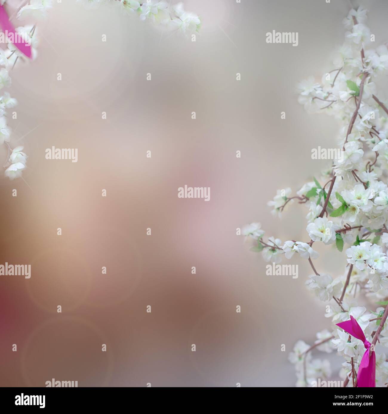 Copy space on soft focus background hi-res stock photography and images ...