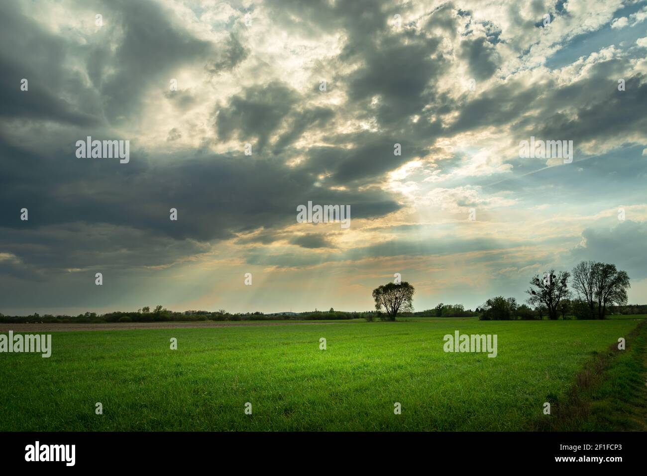 The sun's rays in the cloudy sky over a green field Stock Photo