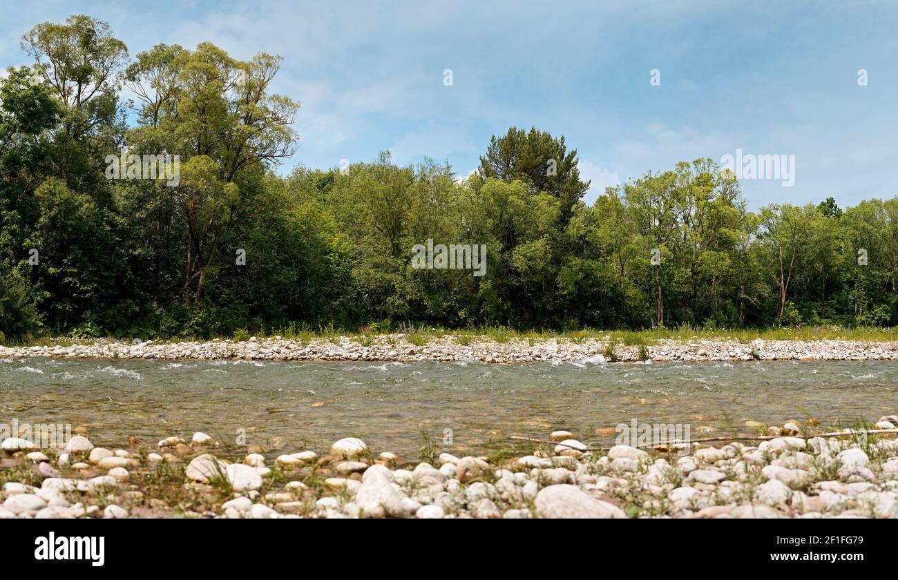 Shallow river flowing over round rocks, trees with blue sky above ...