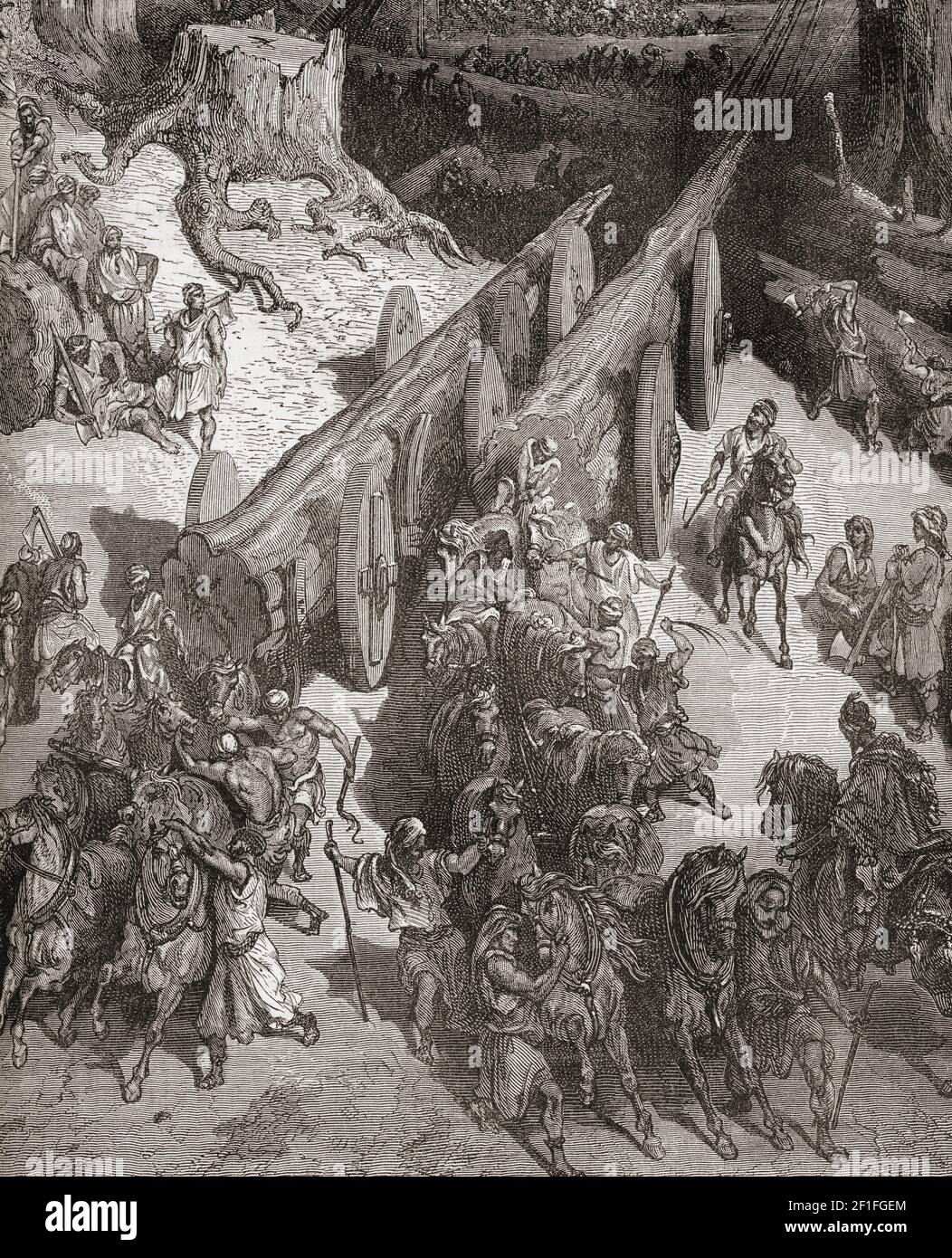 Biblical cedars hires stock photography and images Alamy