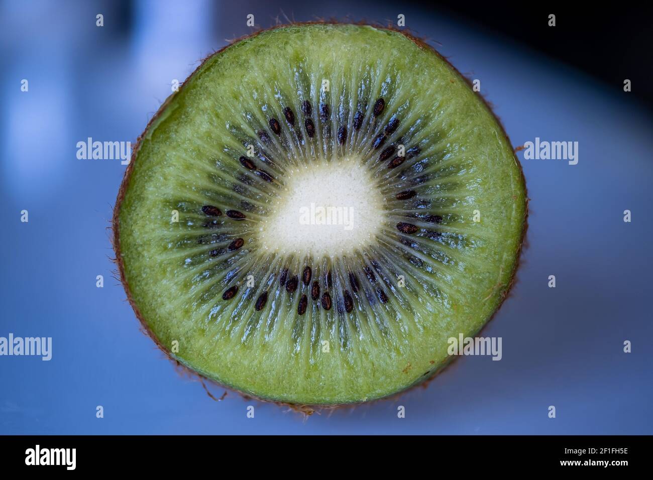 Close up view kiwi hi-res stock photography and images - Alamy