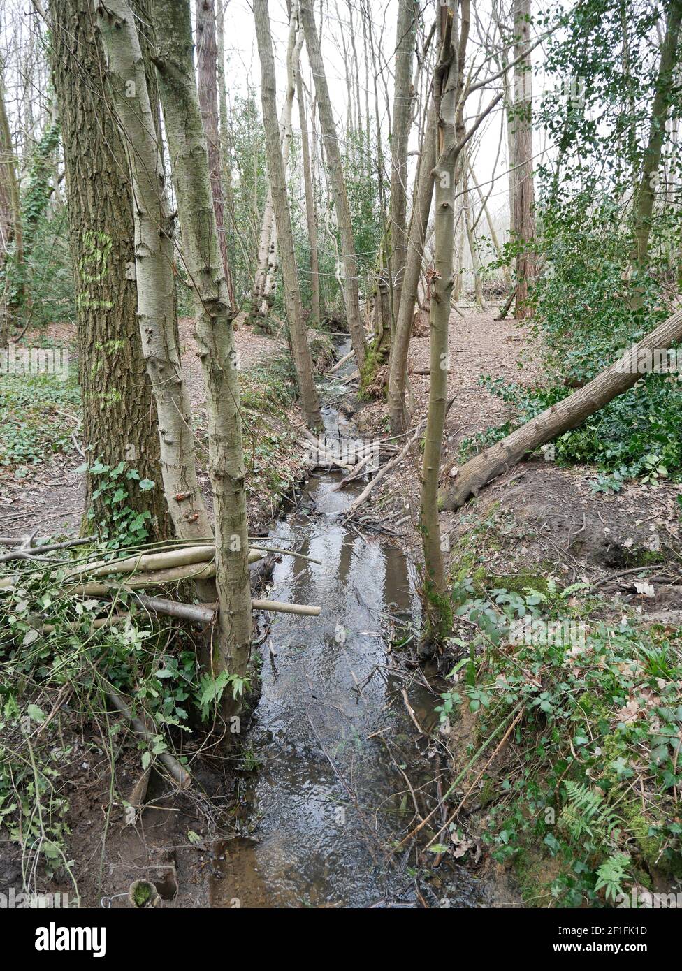 Hayes and Keston Commons, Kent, England Stock Photo Alamy