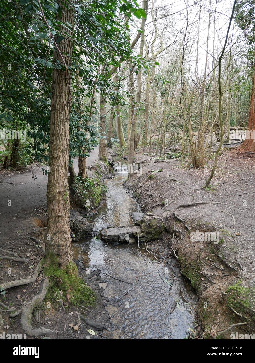 Hayes and Keston Commons, Kent, England Stock Photo Alamy