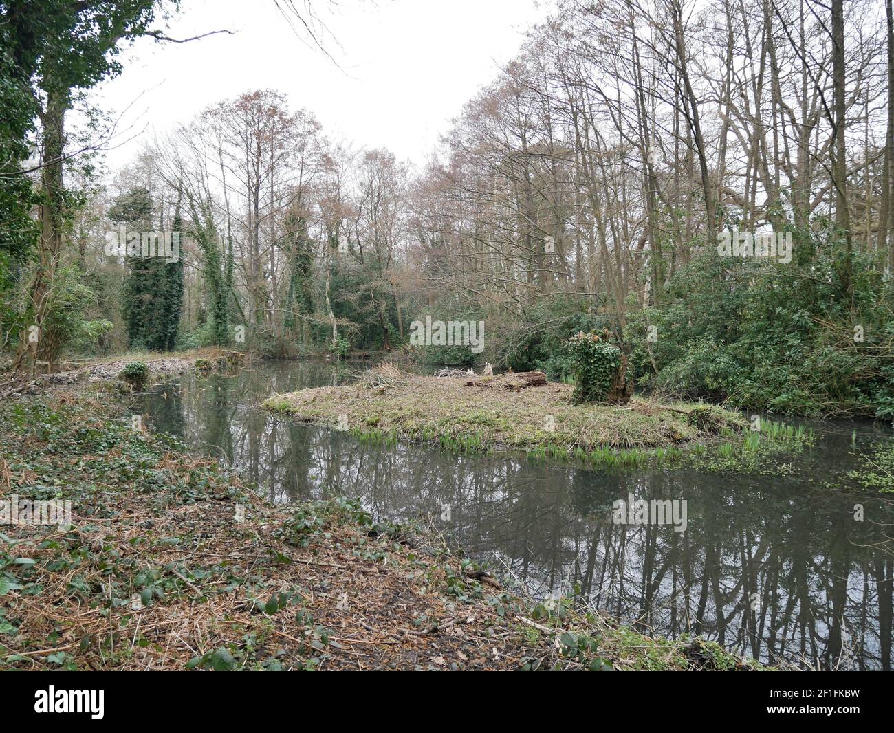 Hayes and Keston Commons, Kent, England Stock Photo Alamy