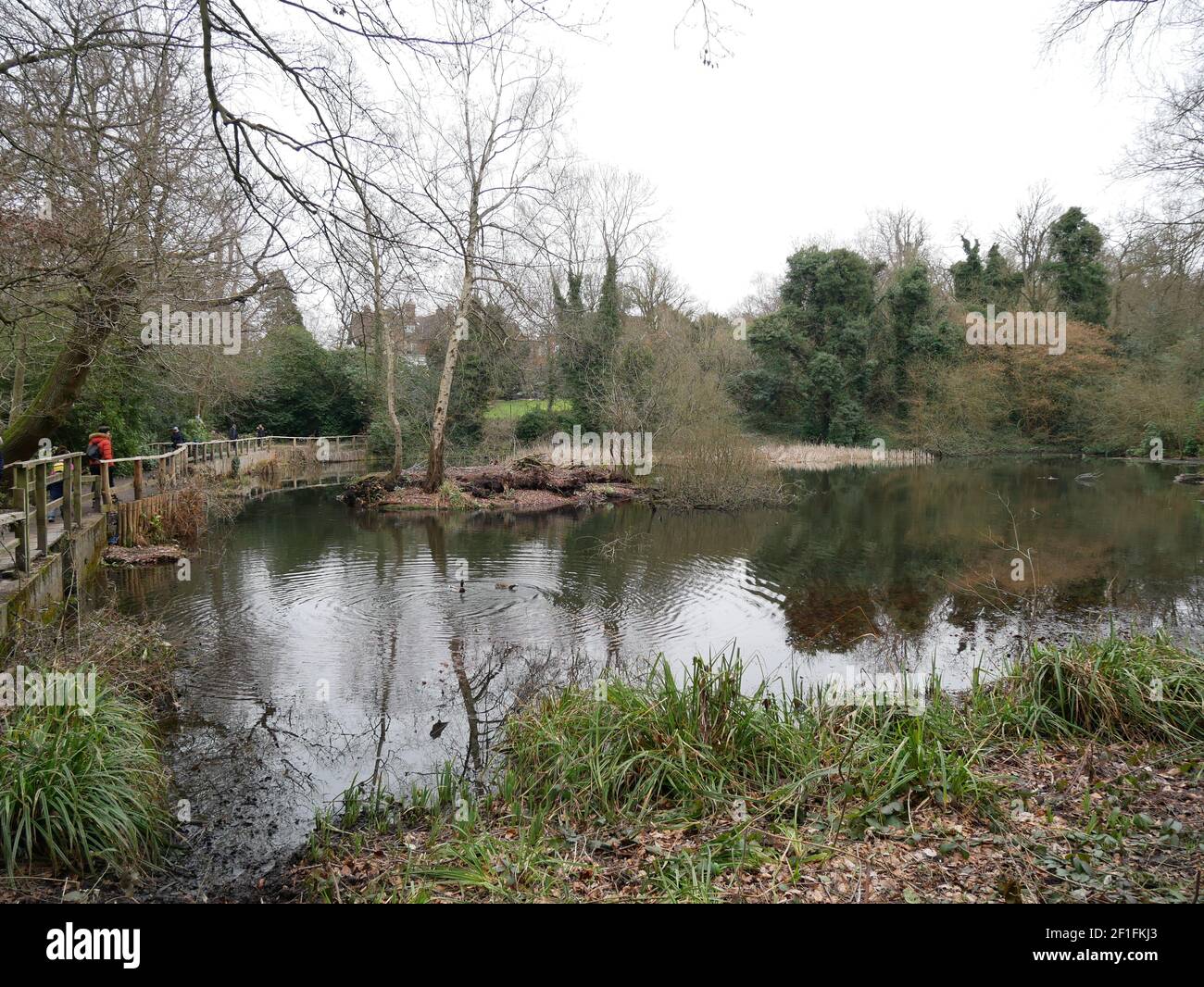 Hayes and Keston Commons, Kent, England Stock Photo Alamy