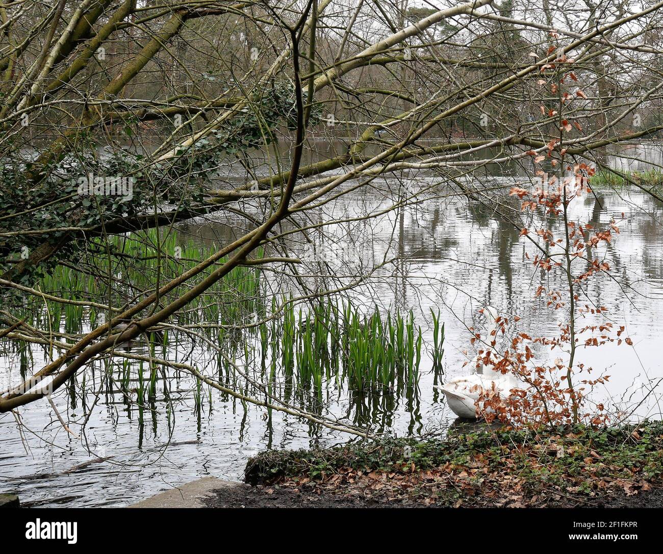 Hayes and Keston Commons, Kent, England Stock Photo