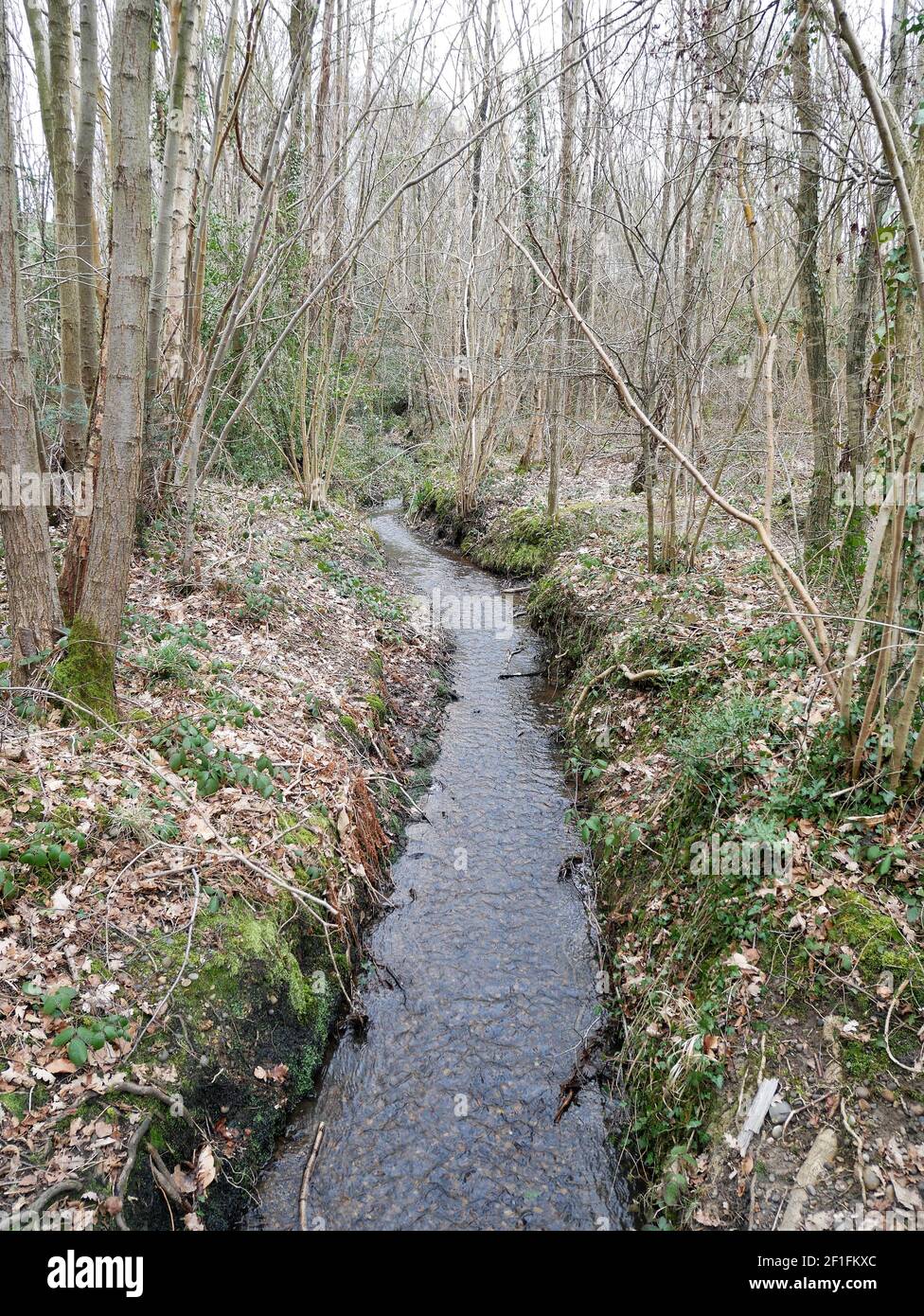 Hayes and Keston Commons, Kent, England Stock Photo - Alamy