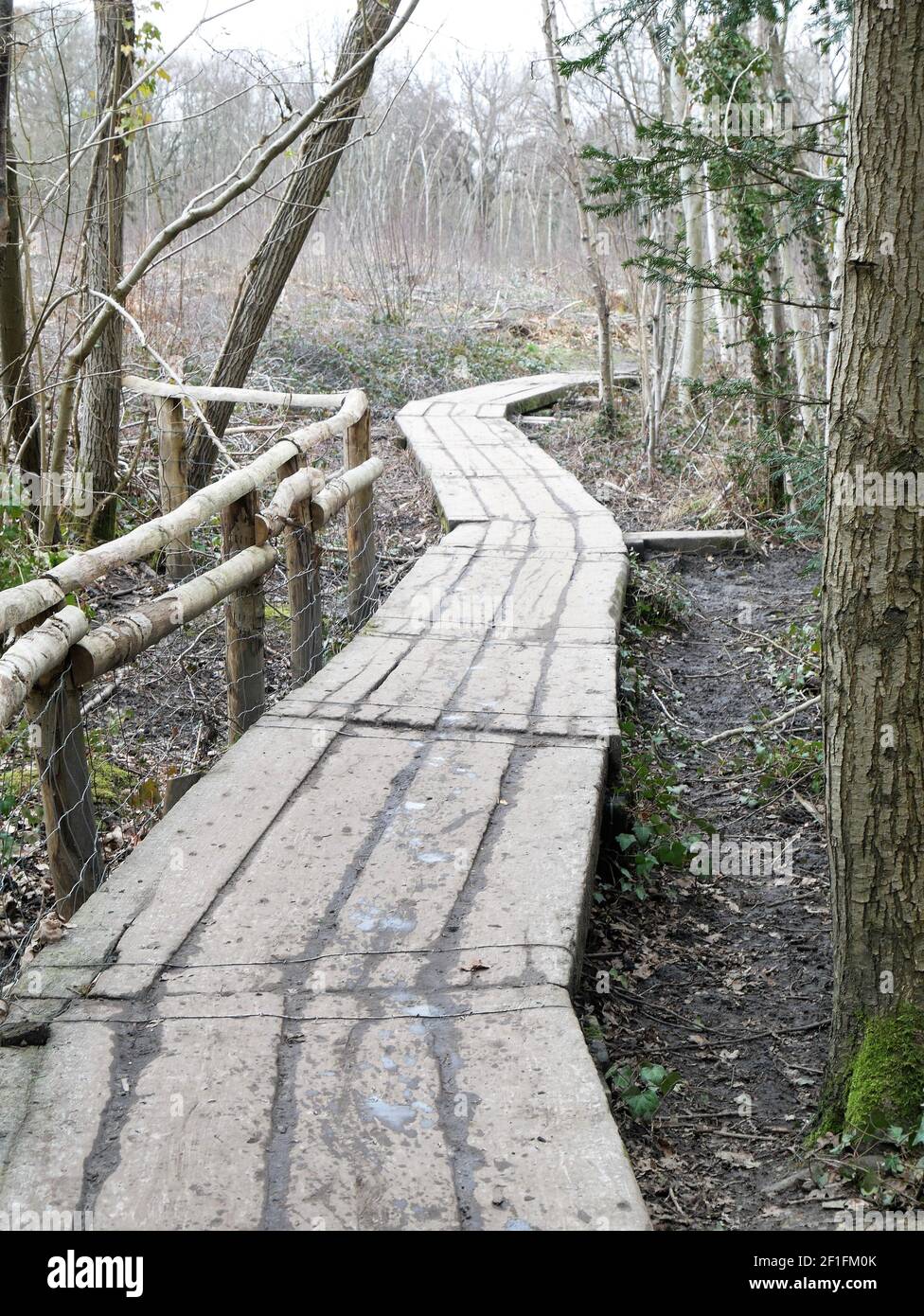 Hayes and Keston Commons, Kent, England Stock Photo Alamy