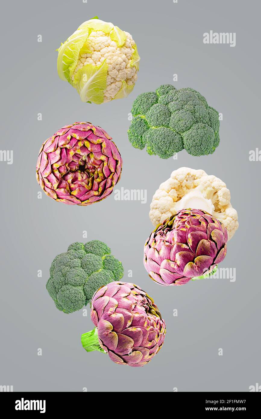 Flying fresh vegetable ingredients isolated on ultimate grey background Stock Photo