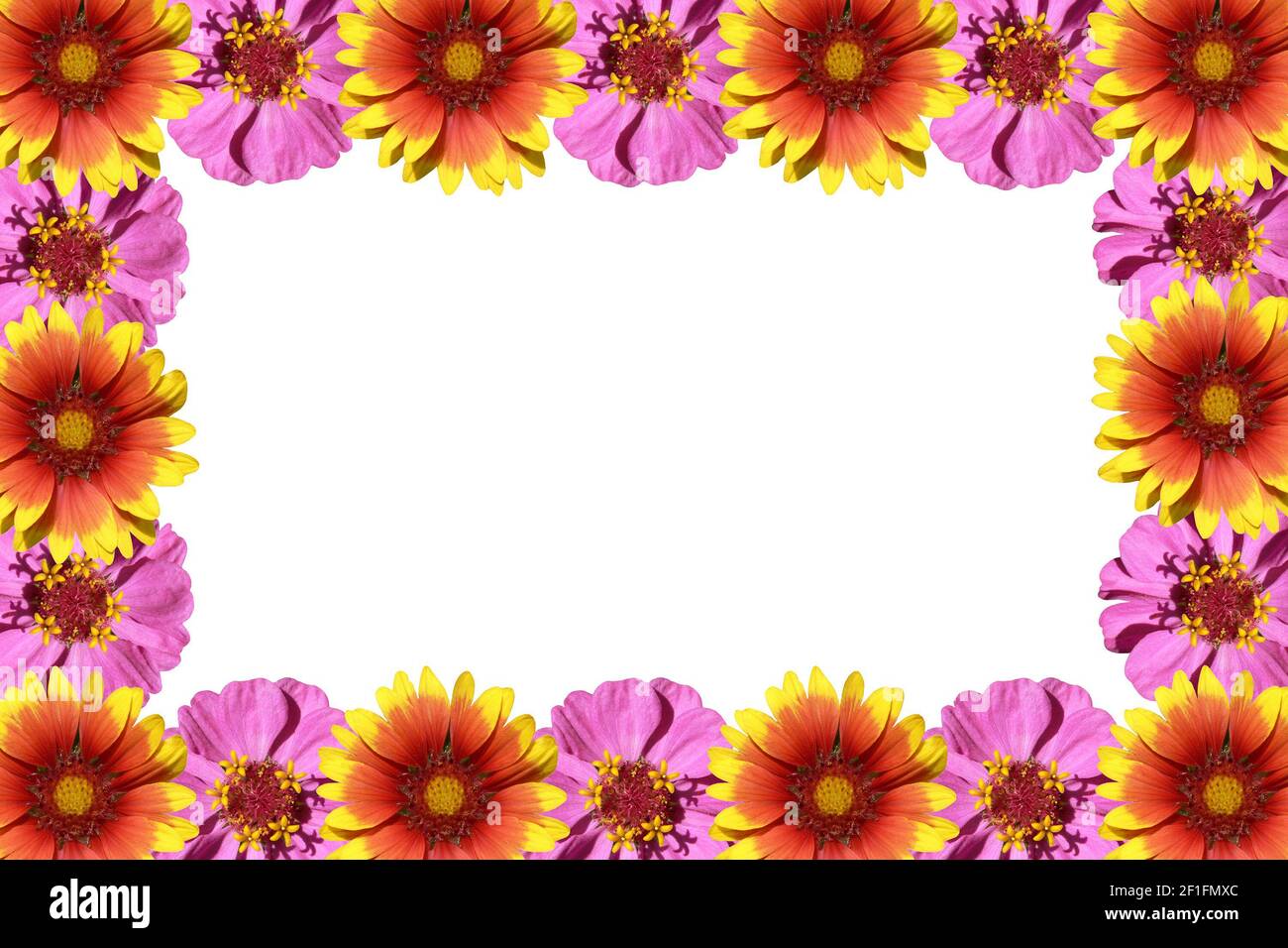 flowers frame isolated on a white background Stock Photo - Alamy