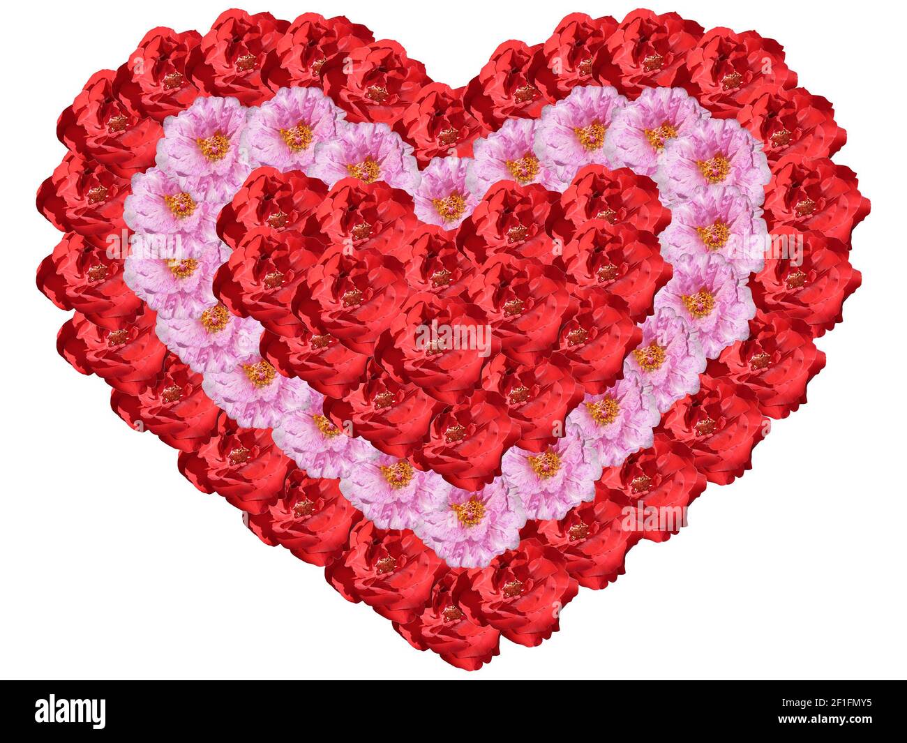 heart of flowers isolated on a white background Stock Photo - Alamy