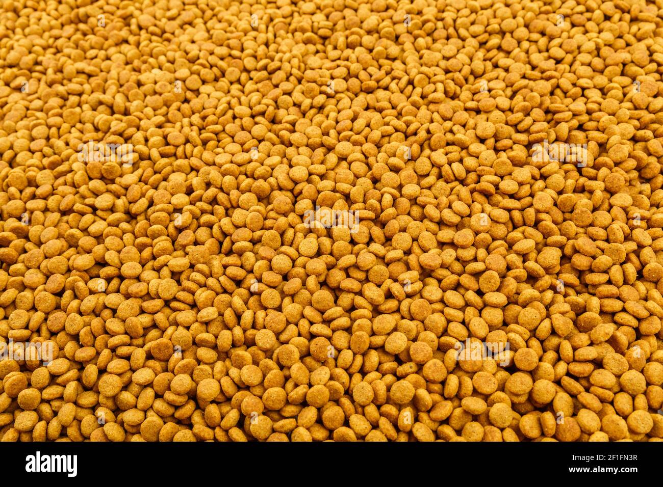 full frame background of small dry orange cat food crockets closeup