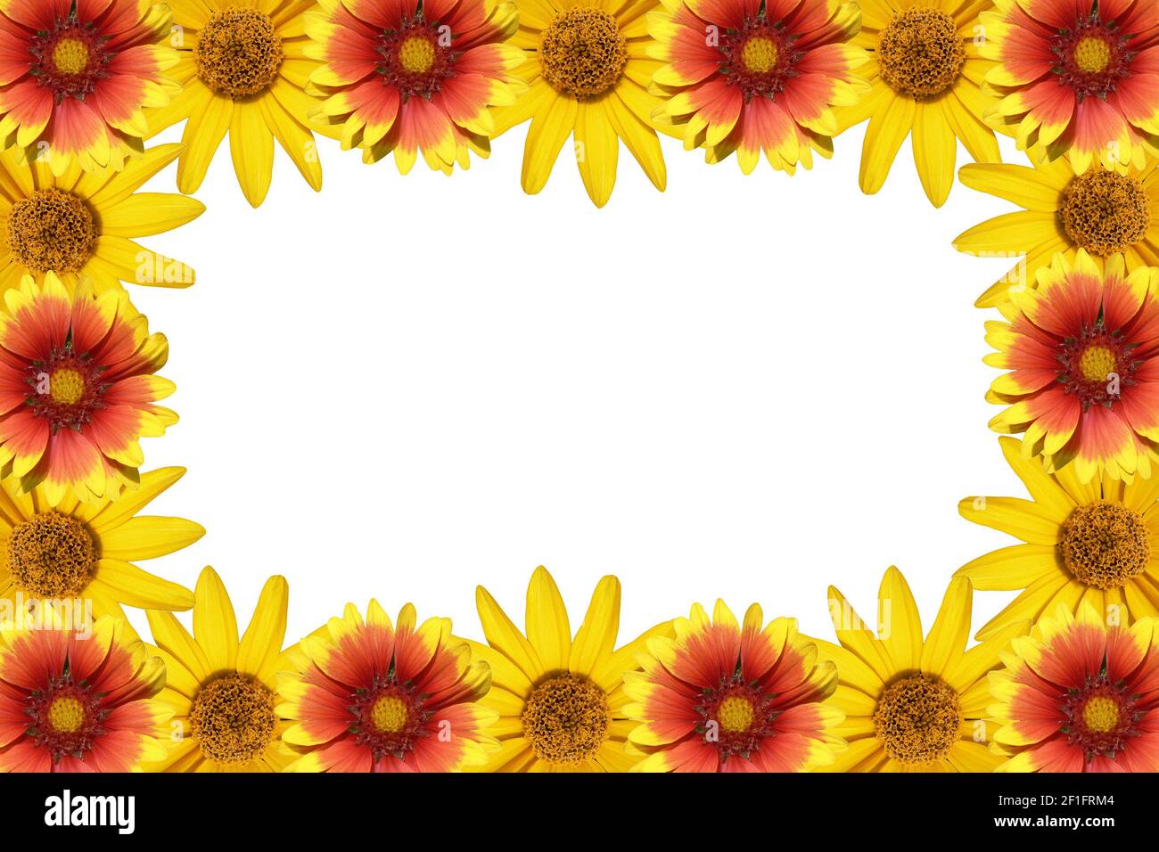 flowers frame isolated on a white background Stock Photo - Alamy