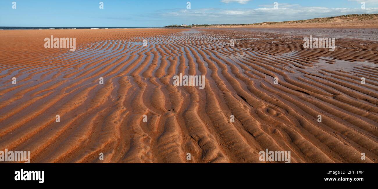 low tide on Seaton Sluice beach, Seaton Sluice, Northumberland, England, United Kingdom Stock