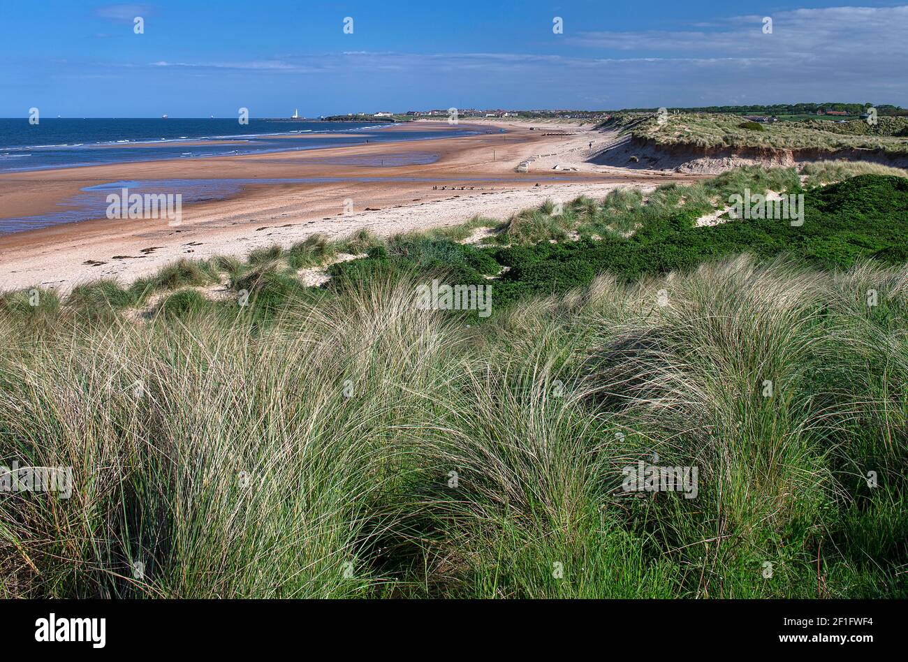 low tide on Seaton Sluice beach, Seaton Sluice, Northumberland, England, United Kingdom Stock
