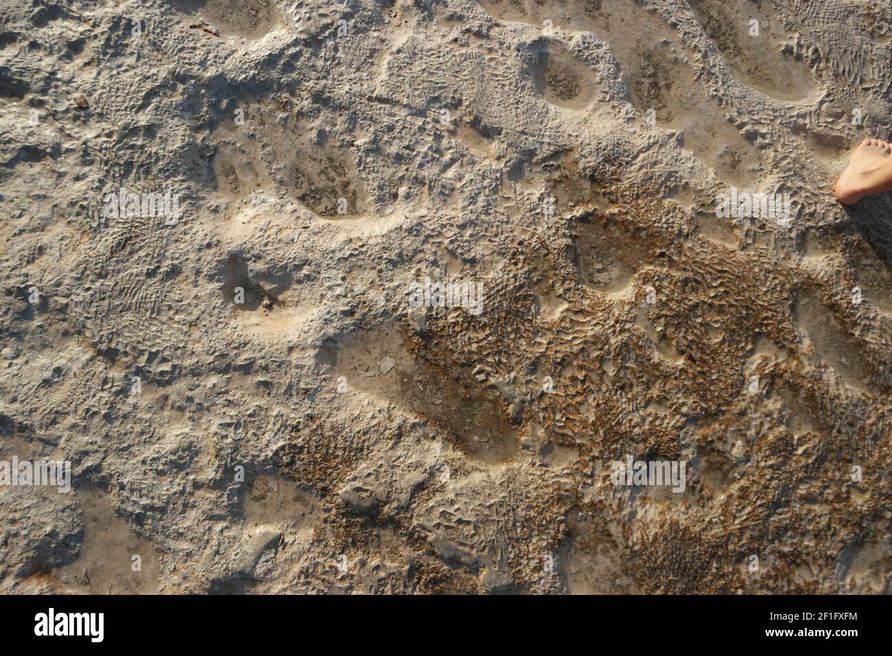 Surface of Pamukklale travertines. Stock Photo