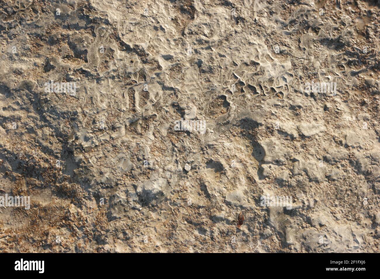 Carbonate mineral travertine texture Stock Photo - Alamy